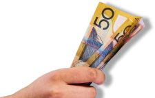 Plumber Park Orchards