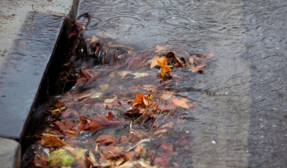 Plumber Park Orchards