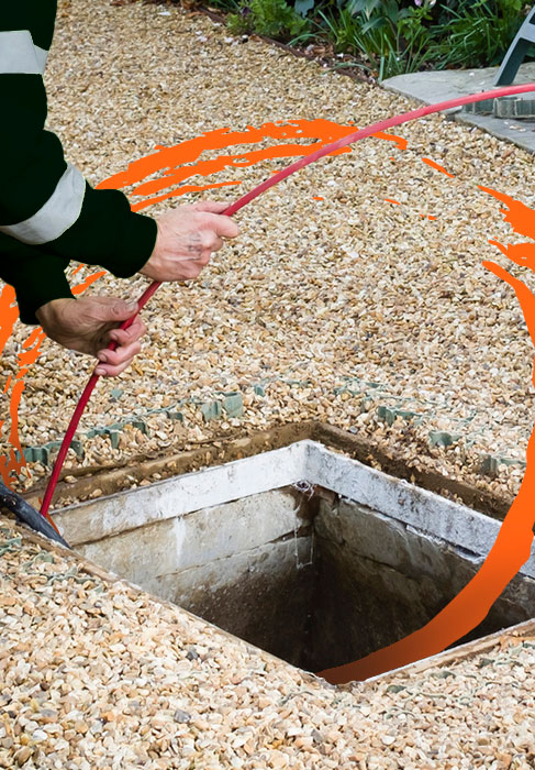 Plumber Park Orchards